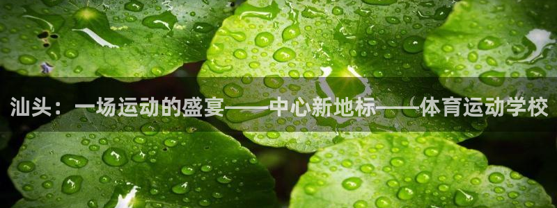 77体育app下载官网
