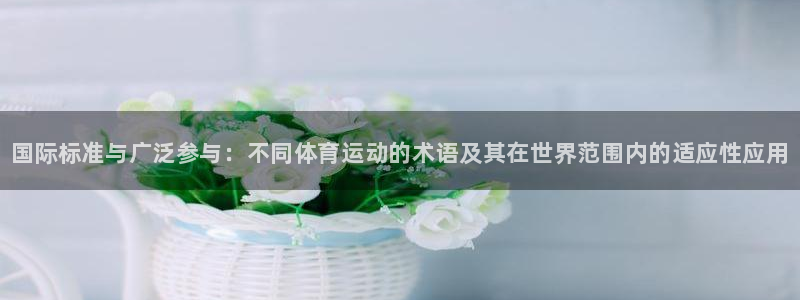 77体育app下载官网