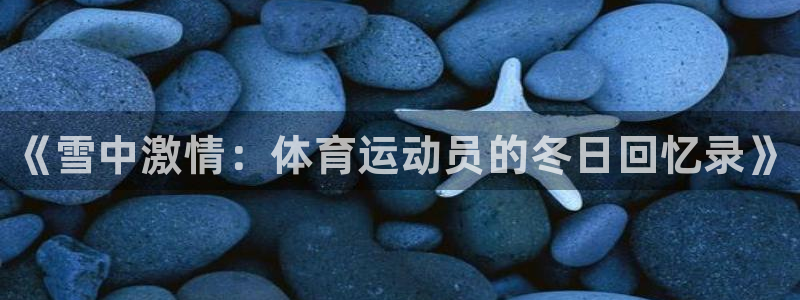 77体育官网