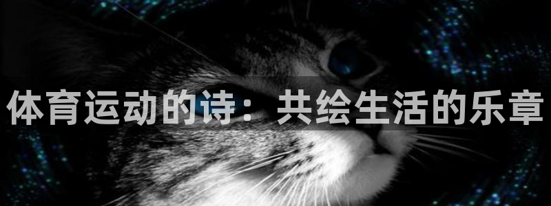 77体育