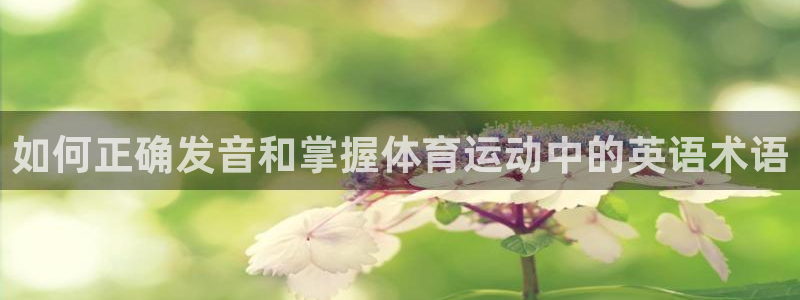77体育