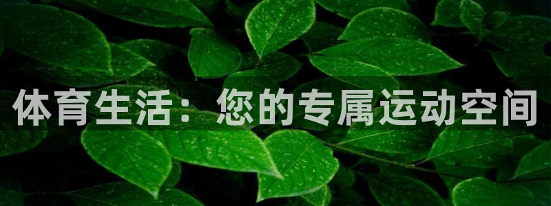77体育官网