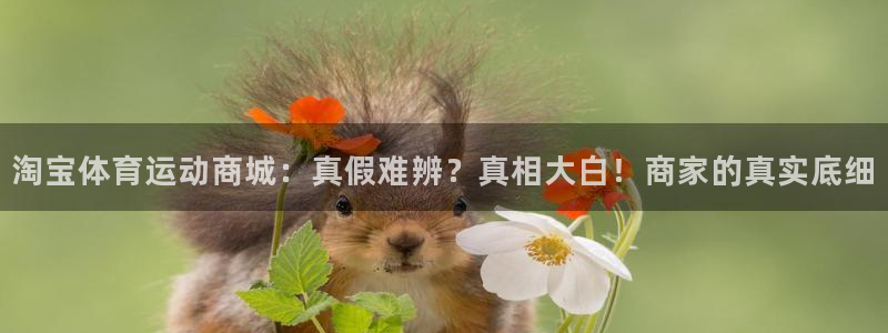 皇冠277体育