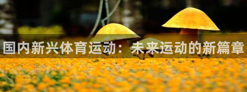 77体育官网