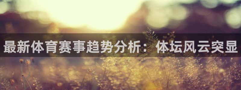 77体育app下载官网