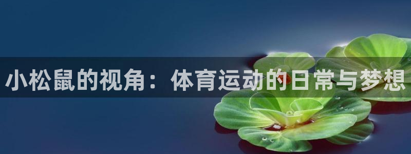 77体育官网