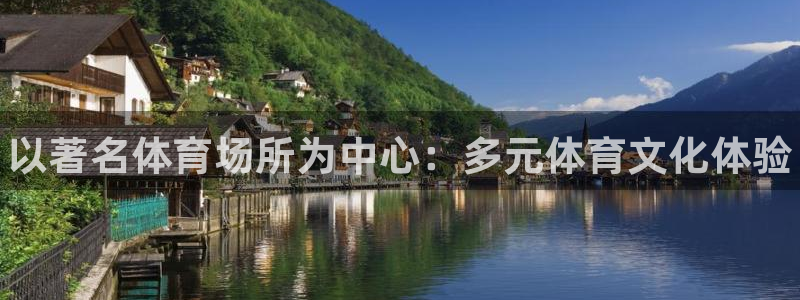 77体育官网