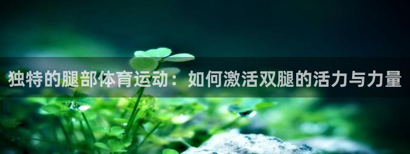 77体育