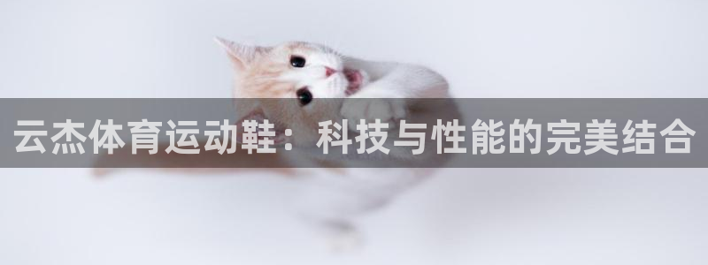 77体育app下载官网
