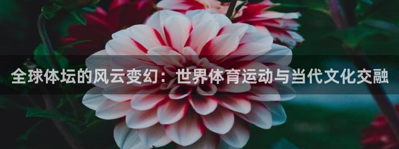 77体育