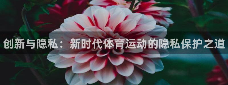 77体育