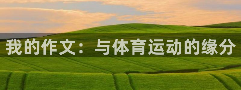 77体育