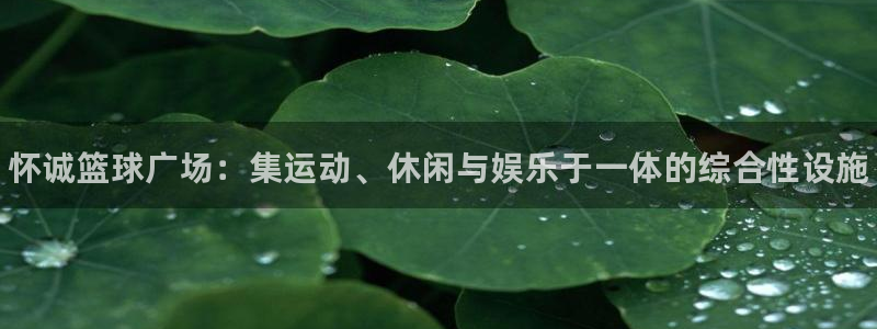 77体育官网