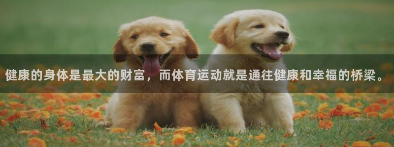 皇冠277体育