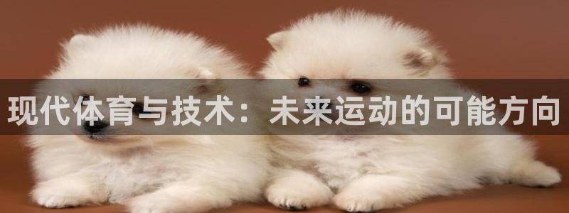 77体育官网