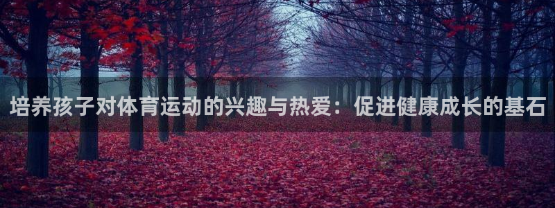 77体育官网