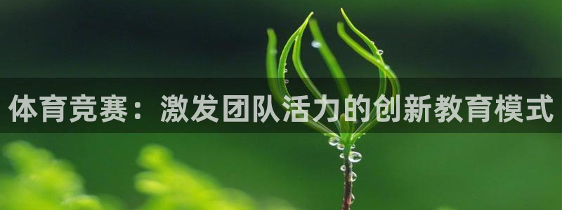 77体育app下载官网