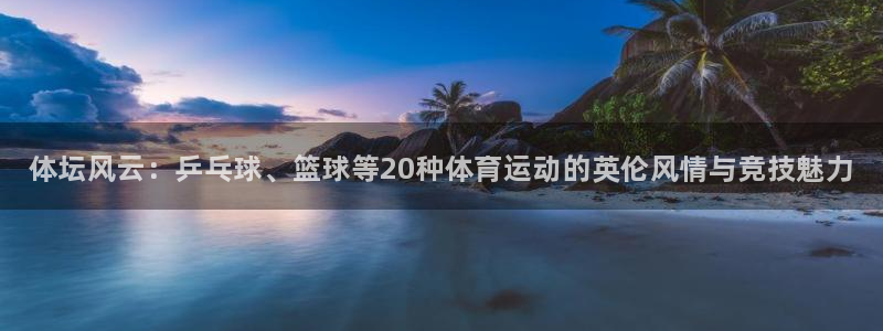 77体育官网
