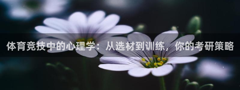 皇冠277体育
