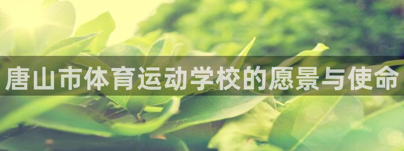 77体育app下载官网
