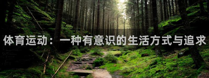 77体育官网