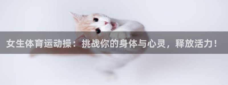 77体育官网