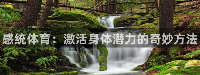 77体育官网