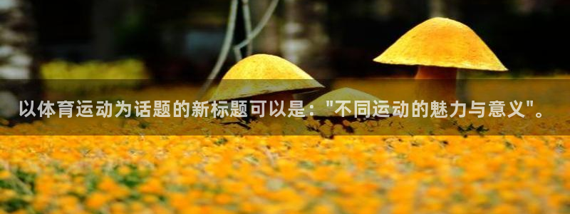 77体育app下载官网