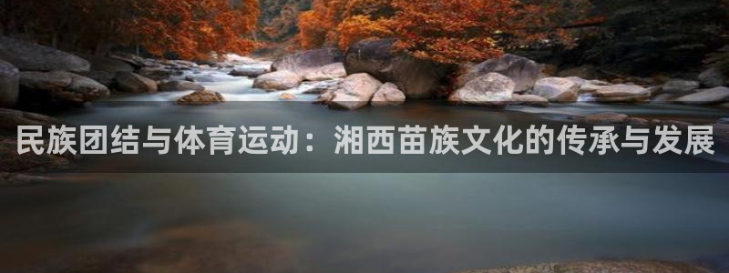77体育官网